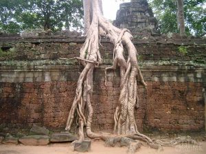 CAMBODIA - CAMBODGE. Phom Penh, Tonle Sap lake, Siem Reap, Angkor wat temples.