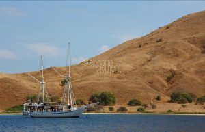 Komodo, Rinca island - indonésie. Pics to Indonesia (november 2011) taken with camera Canon 450D © Stéphane Clément, www.yapasphoto.fr