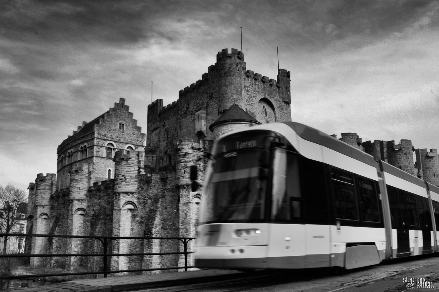 Pic/photo about Gant/Gent (Belgium) : tramway with cattle, pic in black and white.